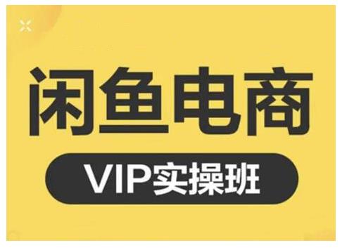 闲鱼电商零基础入门到进阶VIP实战课程，帮助你掌握闲鱼电商所需的各项技能-星璨学社