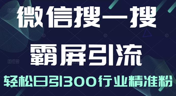 微信搜一搜霸屏引流课，打造被动精准引流系统，轻松日引300行业精准粉【无水印】-星璨学社