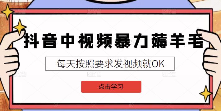 2022抖音中视频暴力薅羊毛白嫖项目：新号每天20块，老号几天几百块，可多号-星璨学社