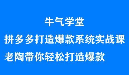 牛气学堂拼多多打造爆款系统实战课，老陶带你轻松打造爆款-星璨学社