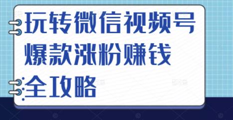玩转微信视频号爆款涨粉赚钱全攻略，让你快速抓住流量风口，收获红利财富-星璨学社