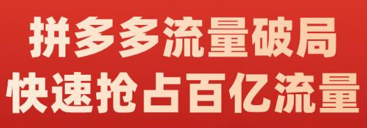 阿杰·拼多多流量破局:如何打黑标，爆款的思路，拼多多流量框架，快速抢占百亿流量-星璨学社