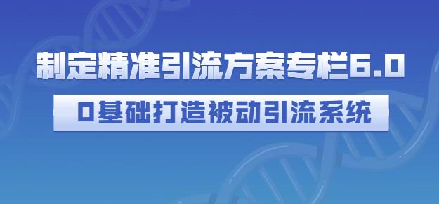 制定精准引流方案专栏6.0，0基础打造被动引流系统-星璨学社