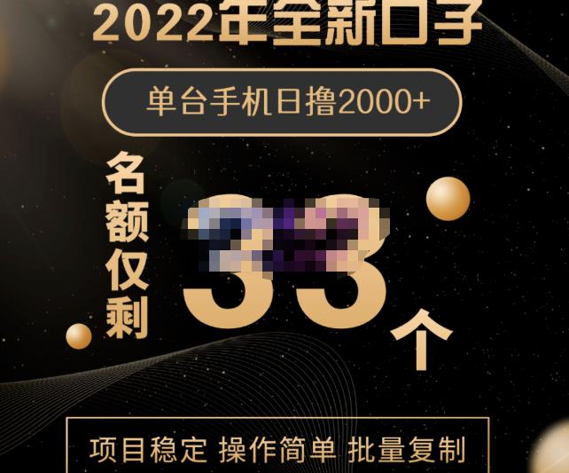 2022年全新口子，手机批量搬砖玩法，一部手机日撸2000-星璨学社