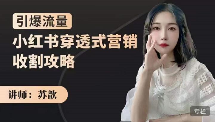 小红书穿透式营销收割攻略，引爆流量，助你玩转小红书-星璨学社