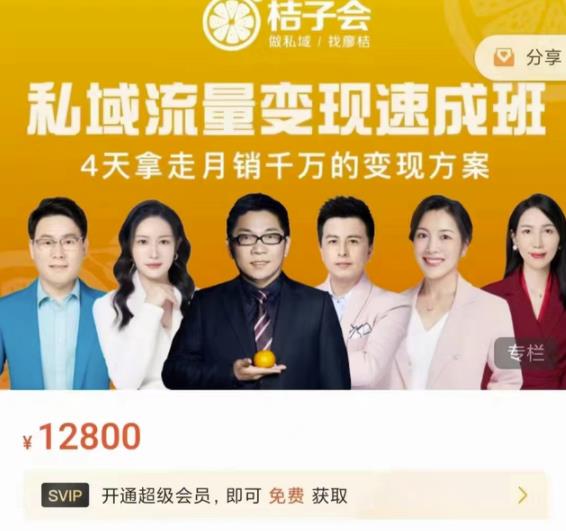 桔子会·私域流量变现速成班，4天拿走月销千万的变现方案 价值12800元-星璨学社