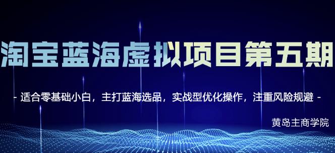淘宝虚拟无货源3.0 4.0 5.0，适合零基础小白，主打蓝海选品，实战型优化操作-星璨学社