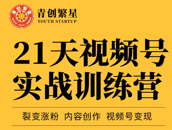 张萌21天视频号实战训练营，裂变涨粉、内容创作、视频号变现 价值298元-星璨学社