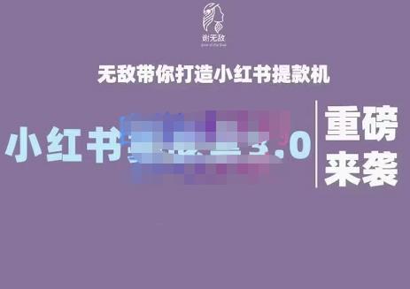 谢无敌·小红书实战营3.0，无敌带你打造小红书提款机 价值7999元-星璨学社