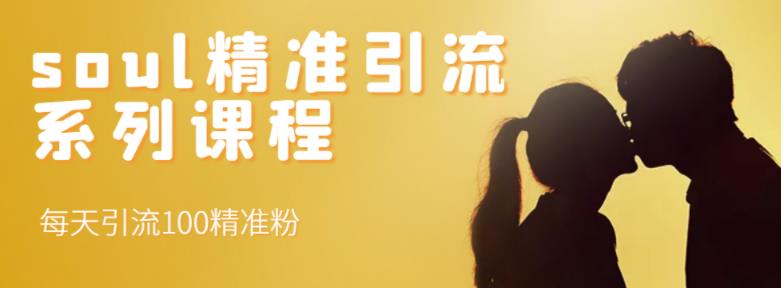 soul精准引流系列课程，每天引流100精准粉-星璨学社
