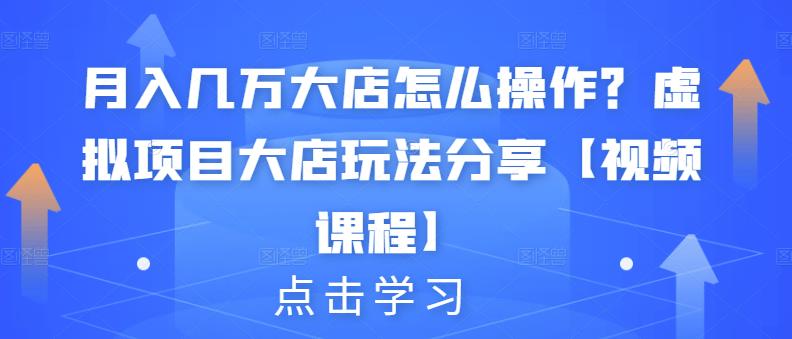 月入几万大店怎么操作？虚拟项目大店玩法分享【视频课程】-星璨学社