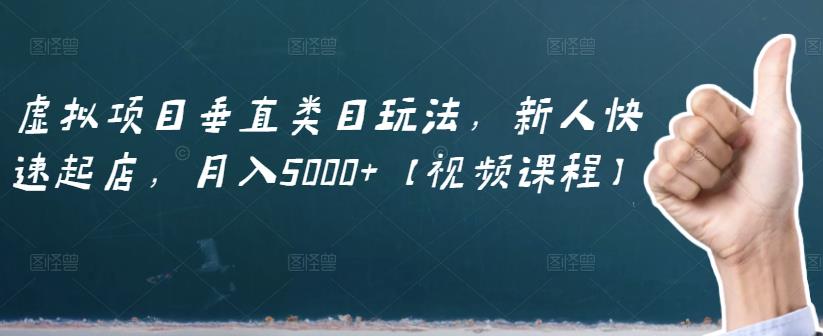 虚拟项目垂直类目玩法，新人快速起店，月入5000 【视频课程】-星璨学社