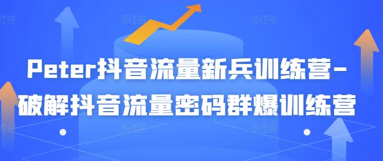Peter抖音流量新兵训练营-破解抖音流量密码群爆训练营（新兵）-星璨学社