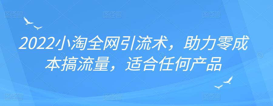 2022年小淘全网引流术，助力零成本搞流量，适合任何产品-星璨学社