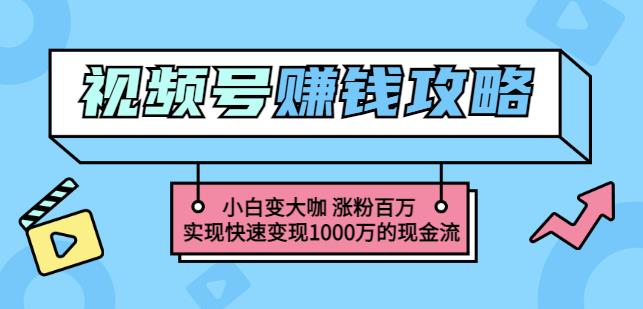 玩转微信视频号赚钱：小白变大咖涨粉百万实现快速变现1000万的现金流-星璨学社