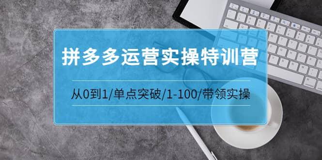 拼多多运营实操特训营：从0到1/单点突破/1-100/带领实操 价值2980元-星璨学社