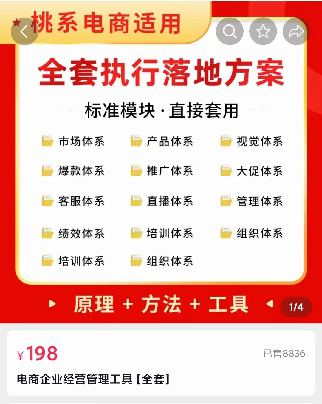 外面卖198·电商企业经营管理工具：全套执行落地方案 标准模块·直接套用-星璨学社