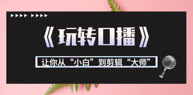月营业额700万 大佬教您《玩转口播》让你从“小白”到剪辑“大师”-星璨学社