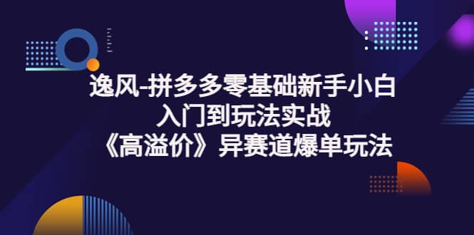 拼多多零基础新手小白入门到玩法实战《高溢价》异赛道爆单玩法实操课-星璨学社