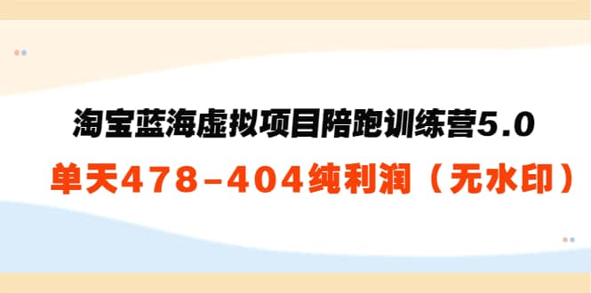 淘宝蓝海虚拟项目陪跑训练营5.0：单天478纯利润（无水印）-星璨学社