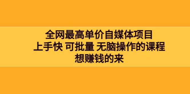 全网最单高价自媒体项目：上手快 可批量 无脑操作的课程，想赚钱的来-星璨学社