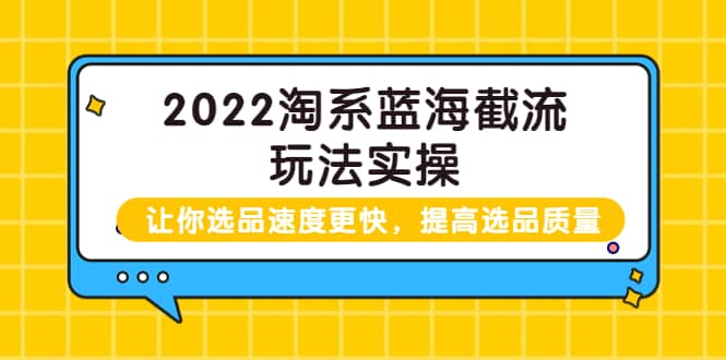 2022淘系蓝海截流玩法实操：让你选品速度更快，提高选品质量（价值599）-星璨学社