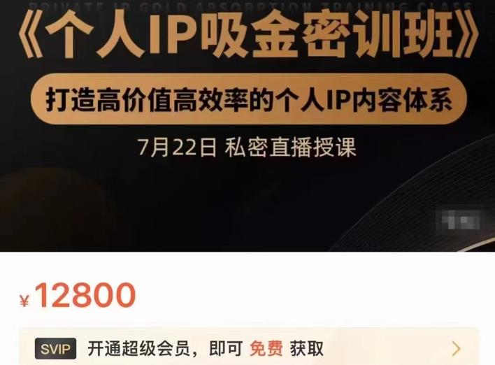 个人IP吸金密训班，打造高价值高效率的个人IP内容体系（价值12800元）-星璨学社