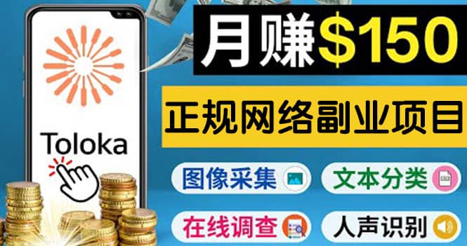 正规网络副业赚钱平台Toloka，利用业余时间月赚150美元-星璨学社