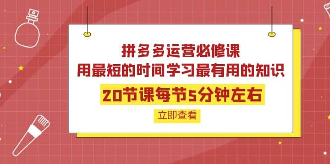 拼多多运营必修课：20节课每节5分钟左右，用最短的时间学习最有用的知识-星璨学社