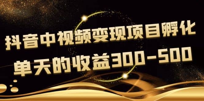 黄岛主《抖音中视频变现项目孵化》单天的收益300-500 操作简单粗暴-星璨学社