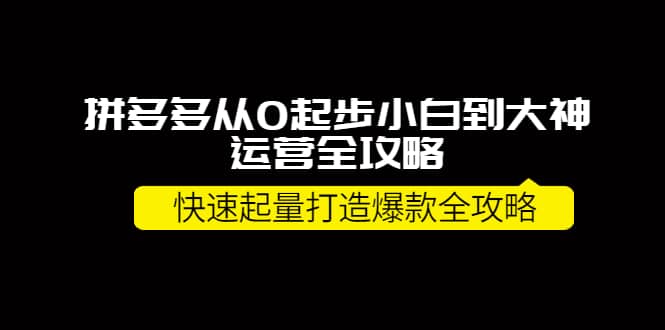 拼多多从0起步小白到大神运营全攻略-星璨学社