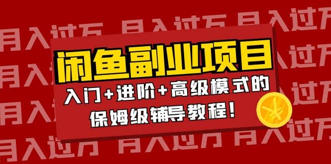 月入过万闲鱼副业项目：入门 进阶 高级模式的保姆级辅导教程-星璨学社
