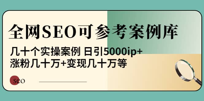 《全网SEO可参考案例库》几十个实操案例-星璨学社