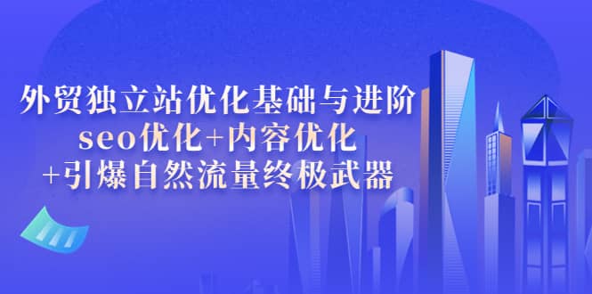 外贸独立站优化基础与进阶，seo优化 内容优化 引爆自然流量终极武器-星璨学社