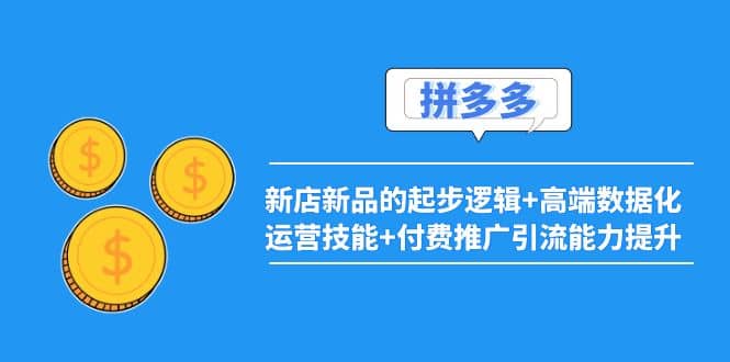 2022拼多多：新店新品的起步逻辑 高端数据化运营技能 付费推广引流能力提升-星璨学社