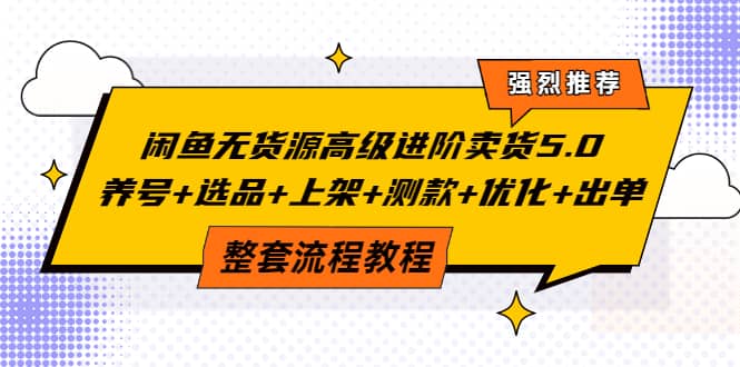 闲鱼无货源高级进阶卖货5.0，养号 选品 上架 测款 优化 出单整套流程教程-星璨学社