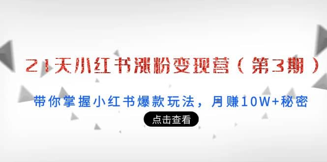 21天小红书涨粉变现营（第3期）：带你掌握小红书爆款玩法，月赚10W 秘密-星璨学社