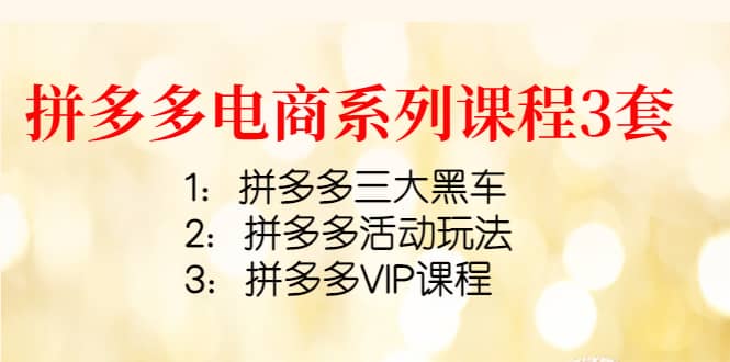 拼多多电商系列课程3套：拼多多三大黑车 拼多多活动玩法 拼多多VIP课程-星璨学社