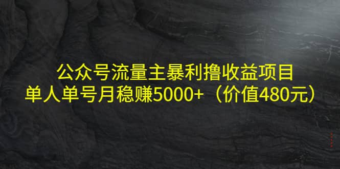 公众号流量主暴利撸收益项目，单人单号月稳赚5000 （价值480元）-星璨学社