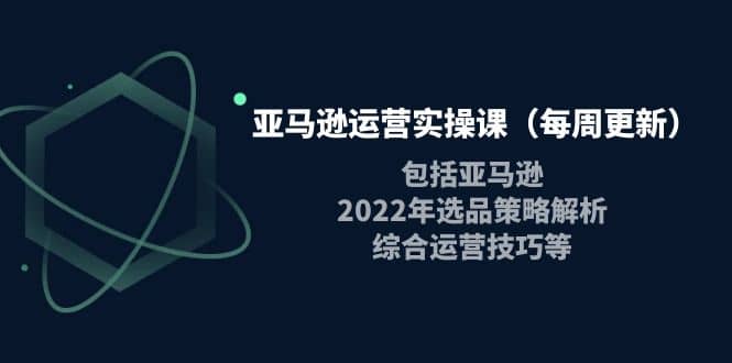 亚马逊运营实操课（每周更新）包括亚马逊2022选品策略解析，综合运营技巧等-星璨学社