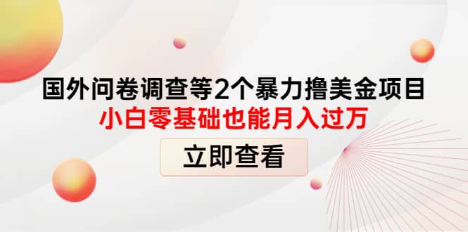 国外问卷调查等2个暴力撸美元项目，小白零基础也能月入过万-星璨学社