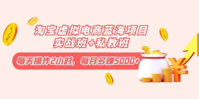 淘宝虚拟电商蓝海项目实战班 私教班-星璨学社