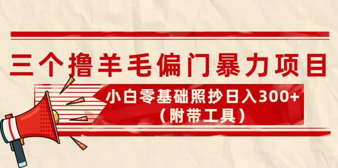 外面卖998的三个撸羊毛项目，小白零基础照抄（附带工具）-星璨学社