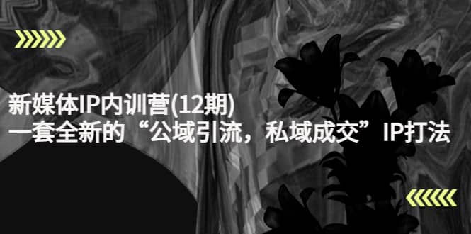 新媒体IP内训营(12期)，一套全新的“公域引流，私域成交”IP打法，直接带走-星璨学社
