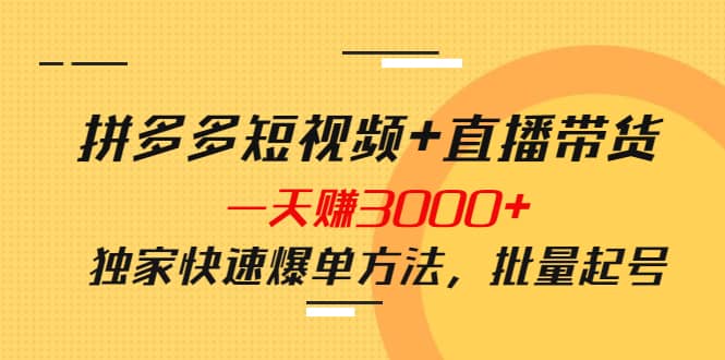 拼多多短视频 直播带货，一天赚3000 独家快速爆单方法，批量起号-星璨学社