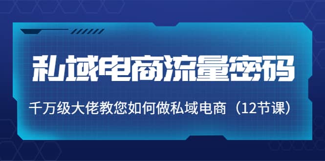 私域电商流量密码：千万级大佬教您如何做私域电商（12节课）-星璨学社