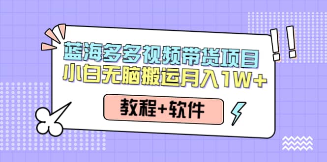 人人都能操作的蓝海多多视频带货项目 小白无脑搬运（教程 软件）-星璨学社