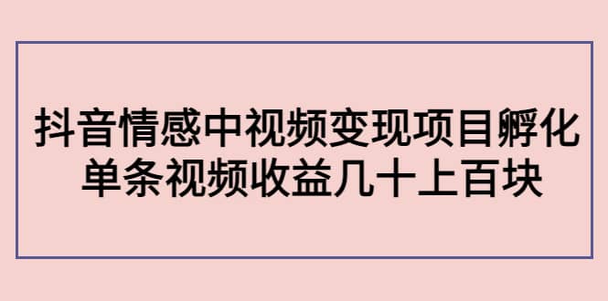 抖音情感中视频变现项目孵化-星璨学社