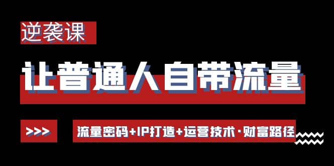 让普通人自带流量的逆袭课：流量密码 IP打造 运营技术·财富路径-星璨学社