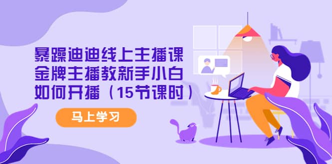 暴躁迪迪线上主播课，金牌主播教新手小白如何开播（15节课时）-星璨学社
